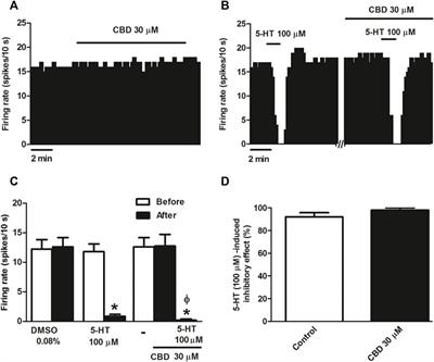 Functional characterization of cannabidiol effect on the serotonergic neurons of the dorsal raphe nucleus in rat brain slices